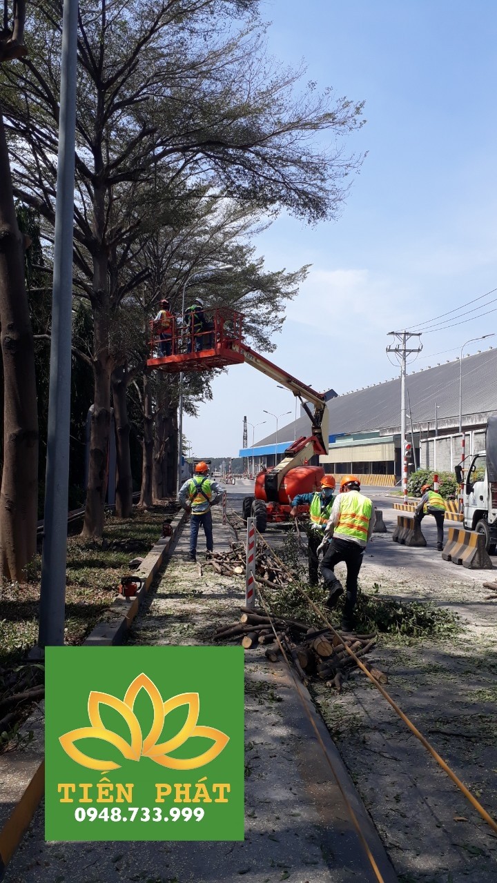 Cho thuê xe nâng người 20m tại nhà máy CJ Food KCN Tân Kim