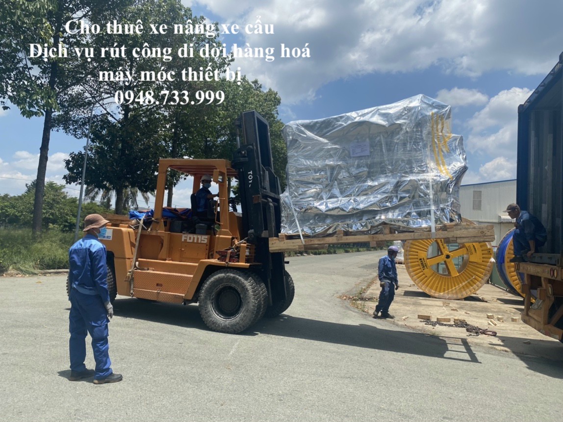 Cho thuê xe nâng hàng 5 tấn tại Bình Dương 0948733999